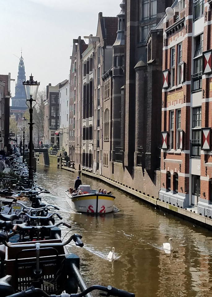 Amsterdam Bikes And Swans Photography Art | Photoissimo - Fine Art Photography