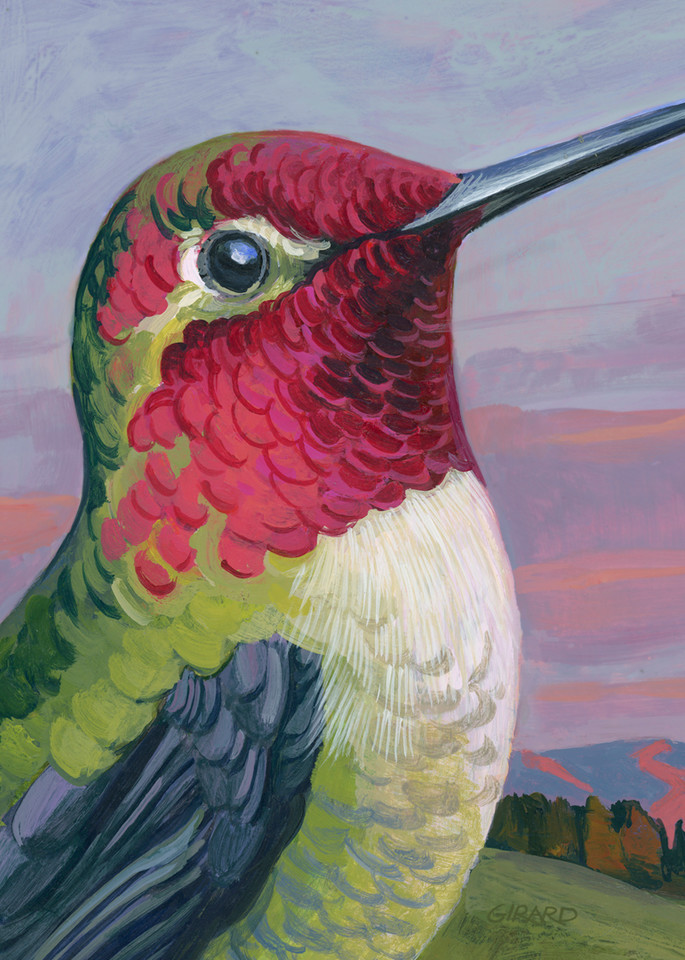 Anna's Hummingbird Portrait Art | Studio Girard
