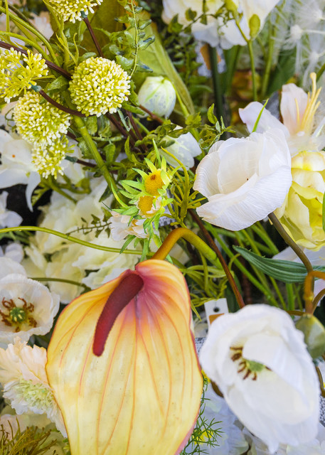 Dutch Countryside Flower market photography | Eugene L Brill