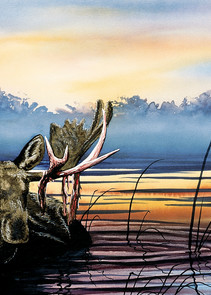 Lake Snoozin' Moose Art Print of life in Yellowstone Park by Joe Ziolkowski