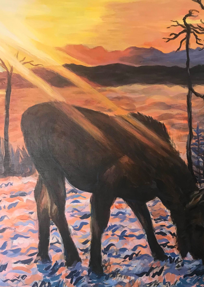 Alaska moose "Slant of Light" art print by Amanda Faith Thompson