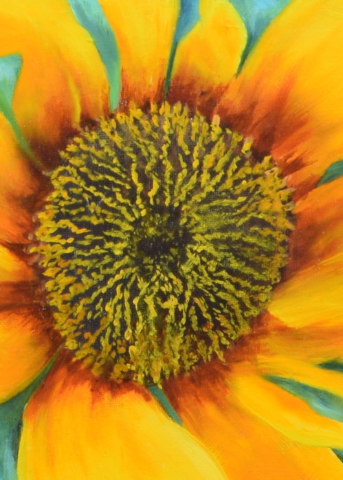 Sunflower Art | Debra Davis Fine Art