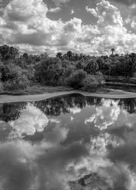 Myakka River Photography Art | Paul J Godin Photography