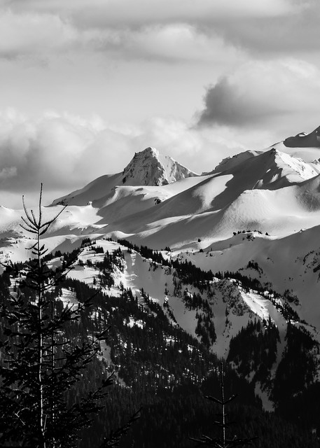 Old Snowy Mountain Goat Rocks Wilderness Washington 17 Old Snowy Mountain Goat Rocks Wilderness Washington 17