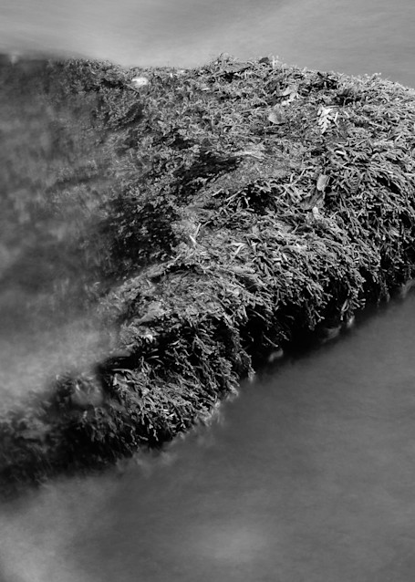 Lyre River No. 6, Olympic Peninsula, Washington, 2013