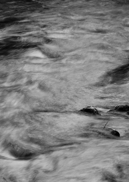 Lyre River No. 10, Olympic Peninsula, Washington, 2013