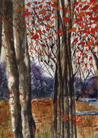 Autumn   Halton Hills Art | Sharon Bacal - Fine Art