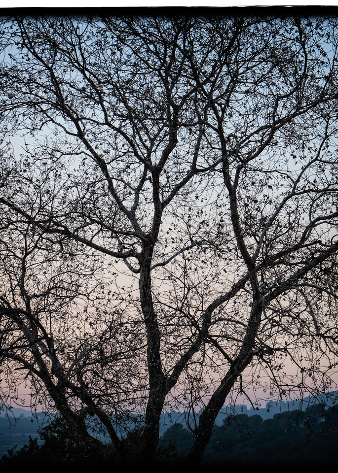 Mulberry Blue Sunset Photography Art | David Frank Photography