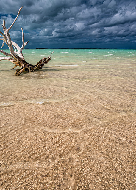Driftwood Before the Storm | Seascapes Collection | CBParkerPhoto Art
