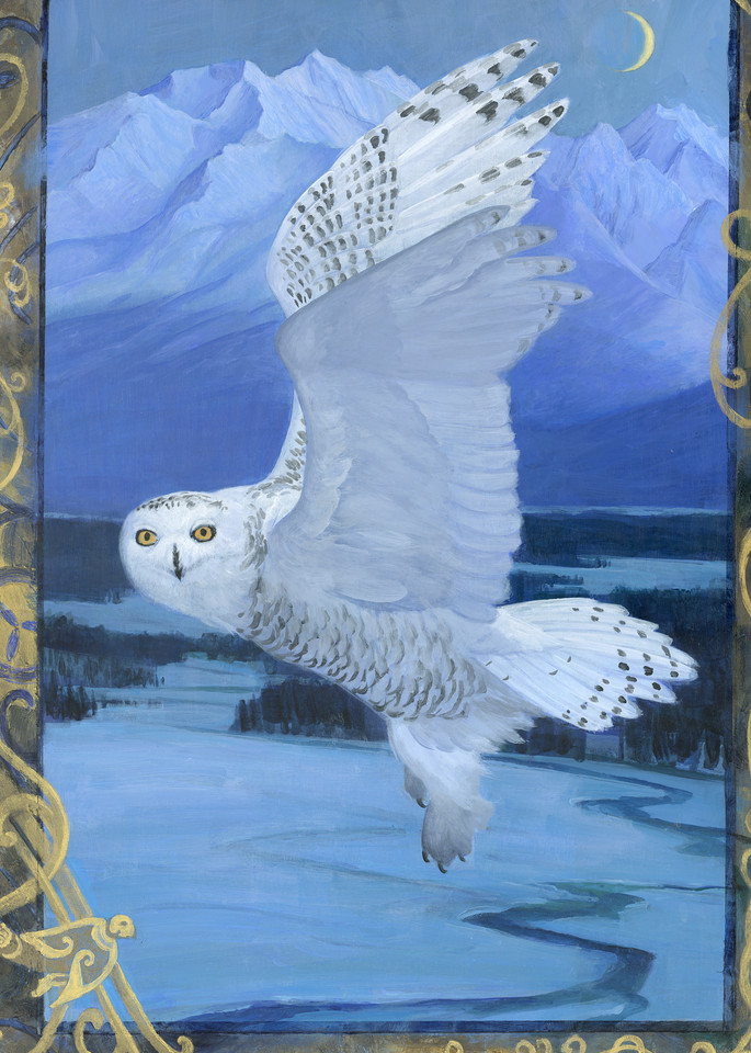Snowy Owl Art | Studio Girard