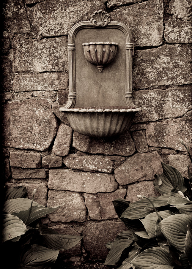 Fountain And Hostas Photography Art | David Frank Photography