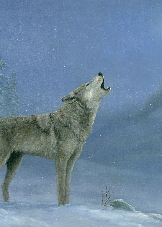 *Gray Wolf Howling At The Moon Art | Tarryl Fine Art