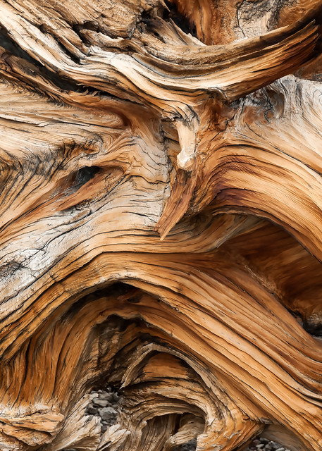 Weathered Wood Art | Inviting Light Photography®