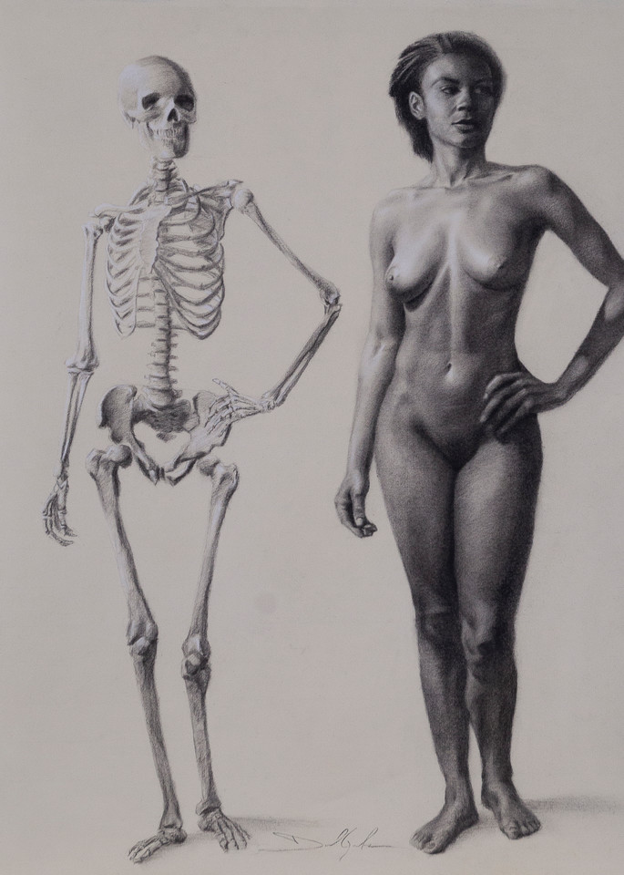 Academic Anatomy  Skeleton & Figure Art | Danielsartwork