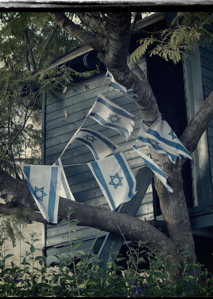 Tree House With Flags Photography Art | David Frank Photography
