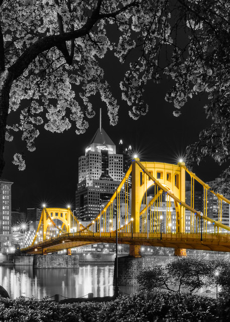 Sprung Night Pittsburgh Art SC Gold Print