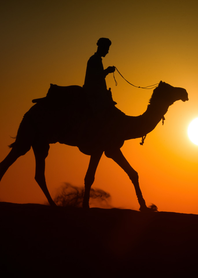 Lone Camel Rider Photography Art | nancyney