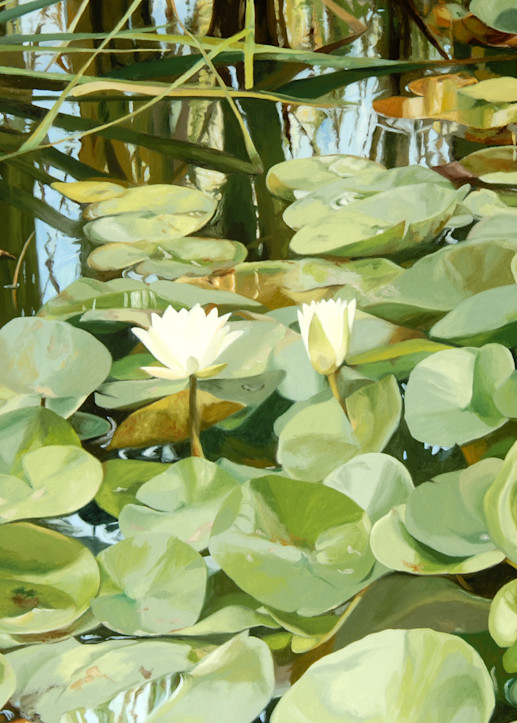 Pond Garden In Summer Art | Helen Vaughn Fine Art