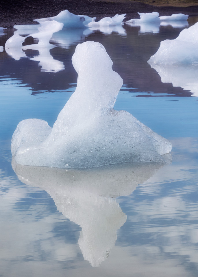 Ice Floats Photography Art | nancyney