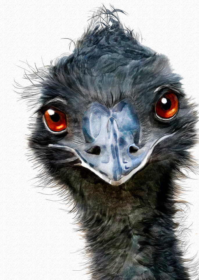 Hugh the Emu