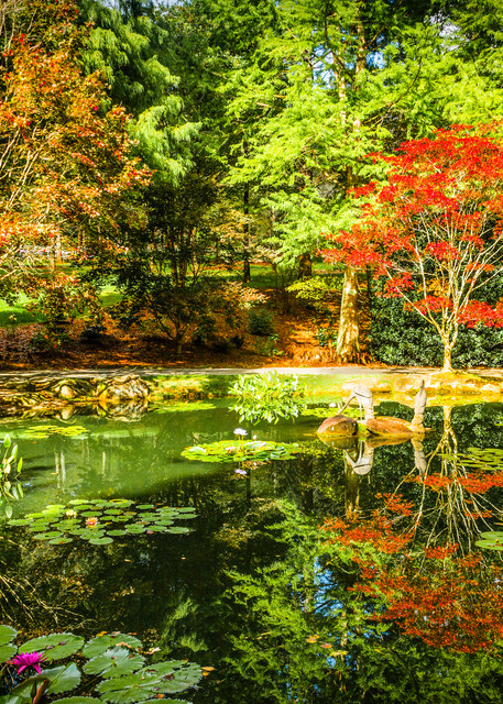 Colorful Gibbs Garden in the Autumn with Reflections