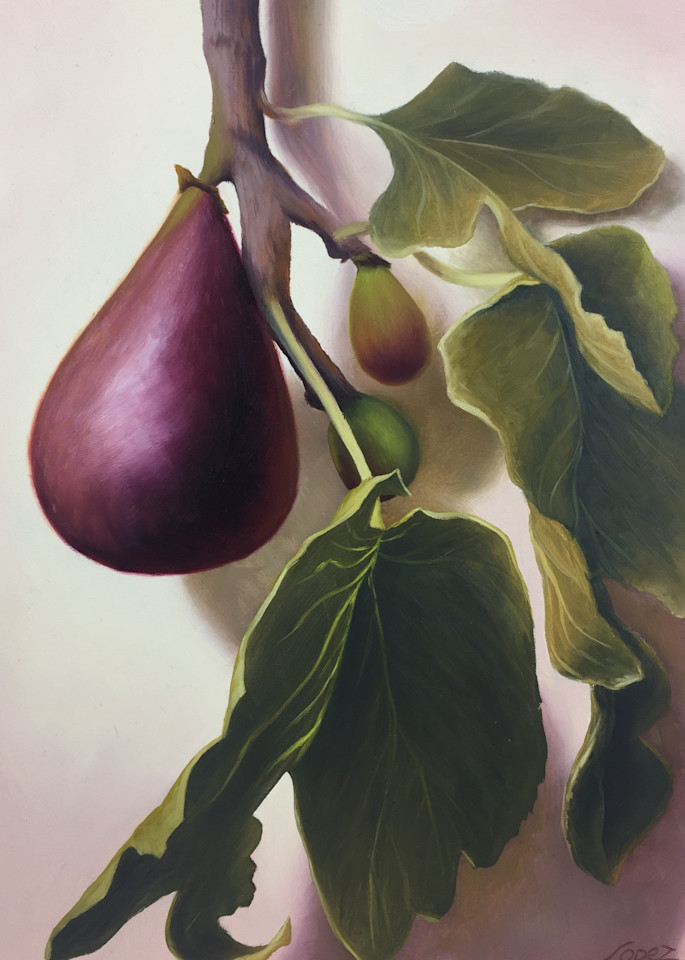 Fig Tree Beauty Art | Gema Lopez Fine Arts
