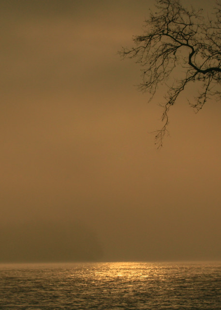 Foggy Sun Reflection Photography Art | White Deer Photography 