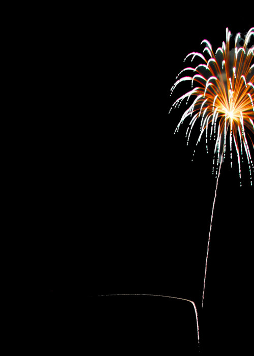 7B-Photography - Sandpoint Photography Hope Fireworks Night 7B Photography Dandelion Darkness