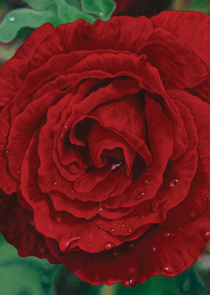 Red Rose ~ Love   Print Art | Mercedes Fine Art