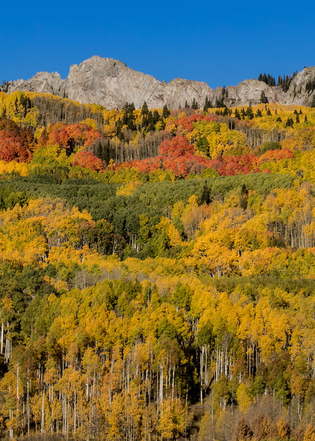 Autumn Color At Kebler Pass Colorado Photography Art | Kirk Fry Photography, LLC