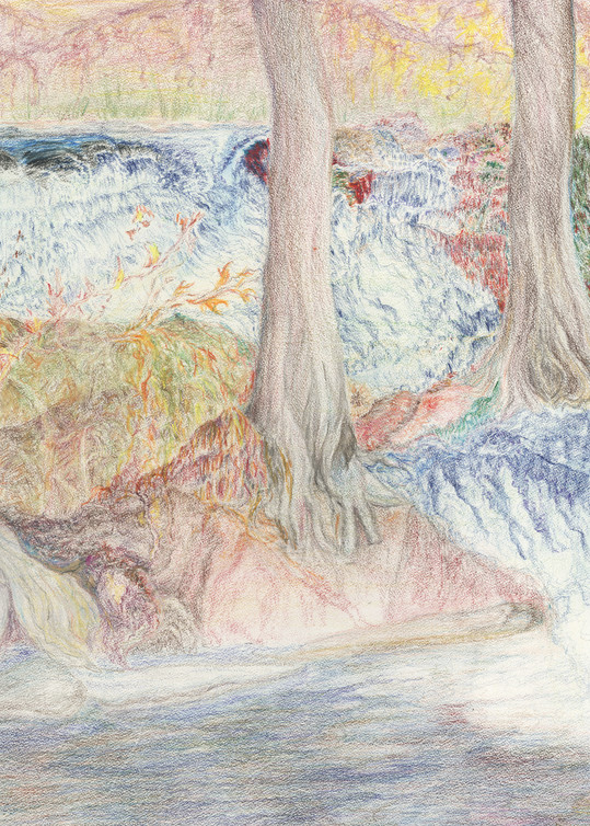 Cypress On The Frio River  4 Art | Redbird Art Gallery
