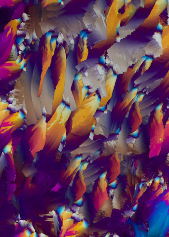 Wind Flower (Urea Crystals) Art | Carol Roullard Art