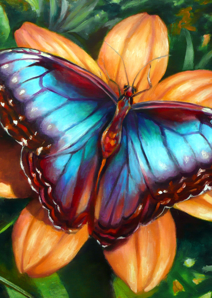 Blue Morpho Butterfly Art | Nancy Tilles