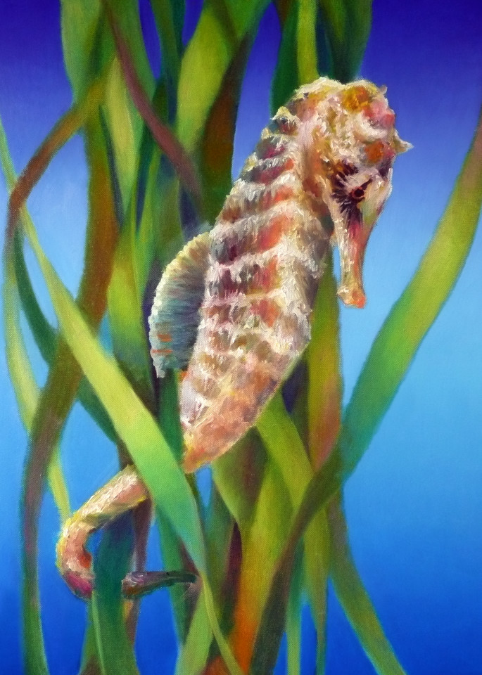 Seahorse In The Reeds I Art | Nancy Tilles