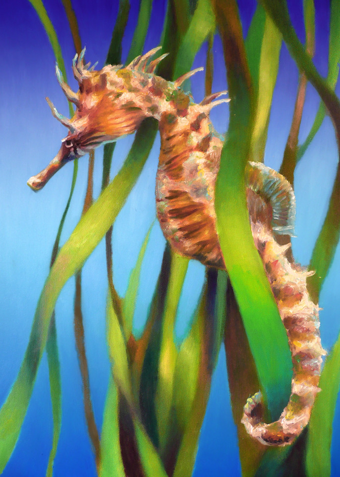 Sea Horse In The Reeds Art | Nancy Tilles