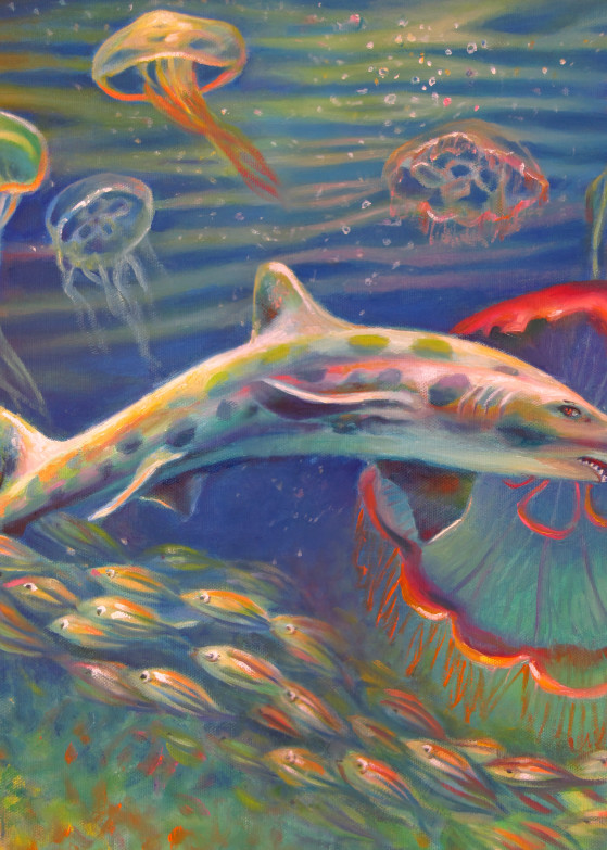 Leopard Shark And Jellyfish Art | Nancy Tilles