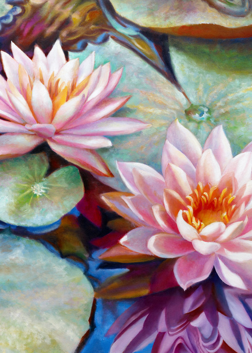 Twin Waterlilies Art | Nancy Tilles