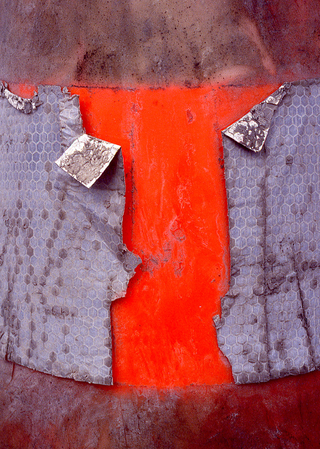 Fish Cone Abstract Orange Fine Art Print – Sherry Mills