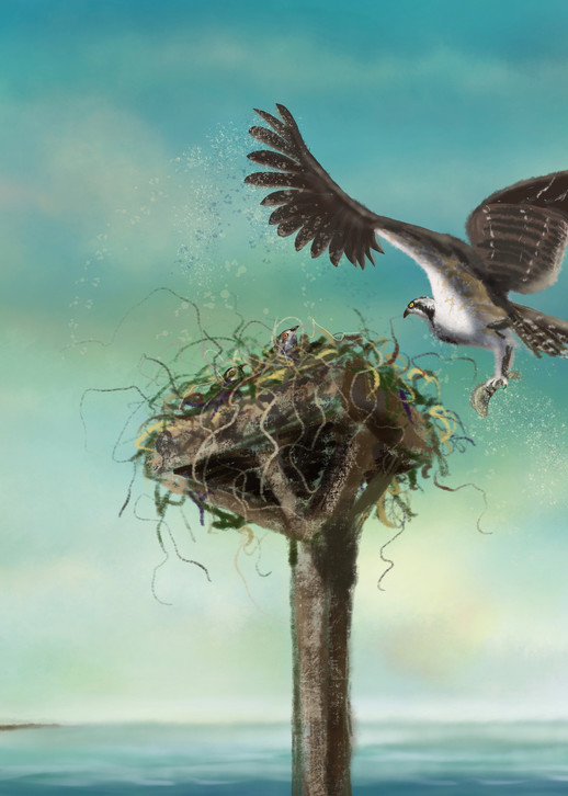 Osprey at the Nest, digital painting by Holly Whiting