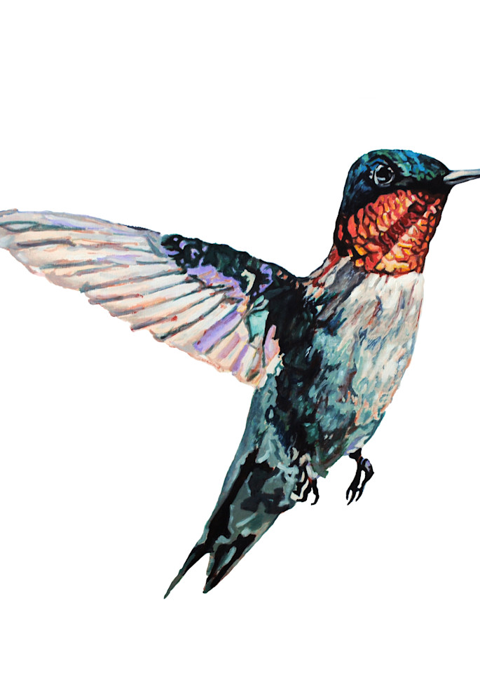 hummingbird, bird, ruby throated, pollinator