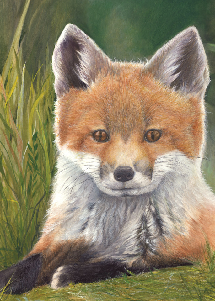 Fox Kit Art | Lori Vogel Studio