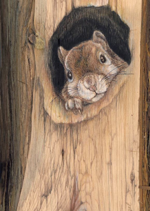 Can I Come Out Now? Art | Lori Vogel Studio
