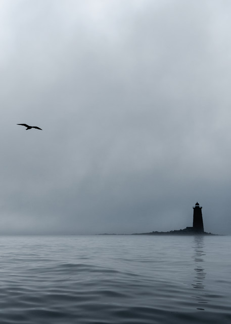 Whaleback With Fog And Gull Photography Art | Dave White Photo
