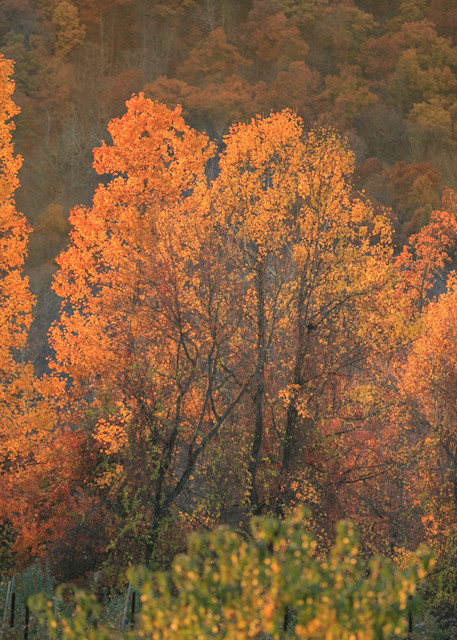 Hudson valley autumn