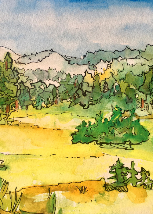 Yosemite Meadow  Art | vibrant art studio, Art by Annette Dion McGowan