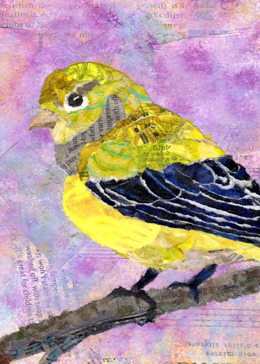 Backyard Birds: Mrs. Lesser Goldfinch Art | Poppyfish Studio