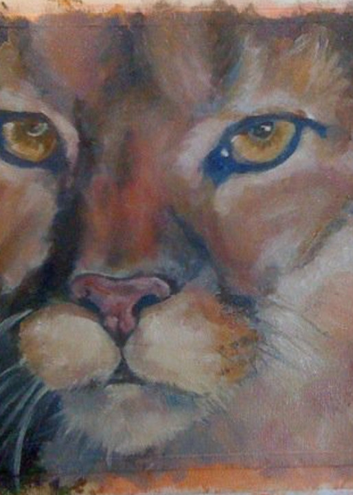 Puma Sunset Art | Nosco Fine Art
