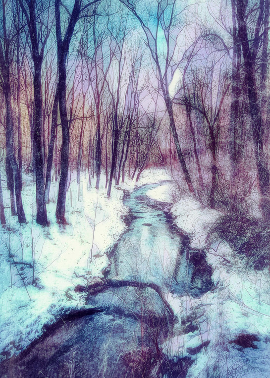 "Dreamy Winter At Nixon Park" Photography Art | Inspired Imagez 