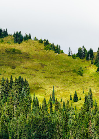 Lookout Mountain, Gifford Pinchot National Forest, Washington, 2016