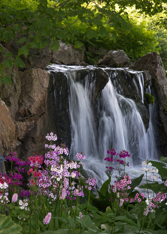  Botanic Gardens Waterfall Art | karenihirsch